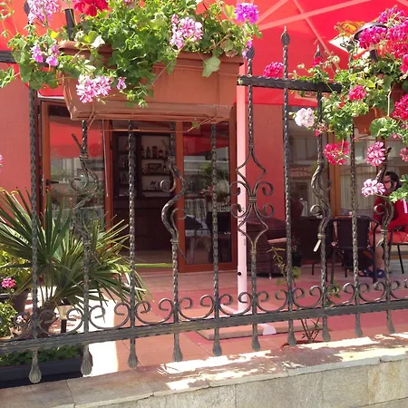 Niki House Gæstehus *